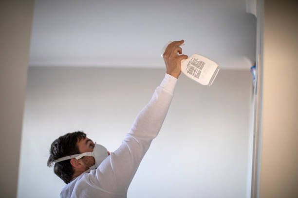 Best Residential Mold Removal  in Camilla, GA